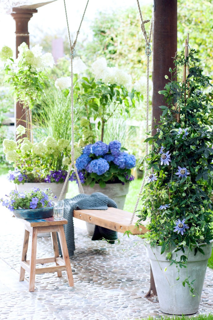 Schöne Blumen für die Terrasse