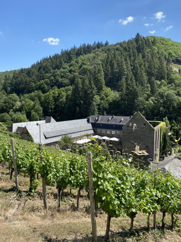Weingut Kloster Marienthal