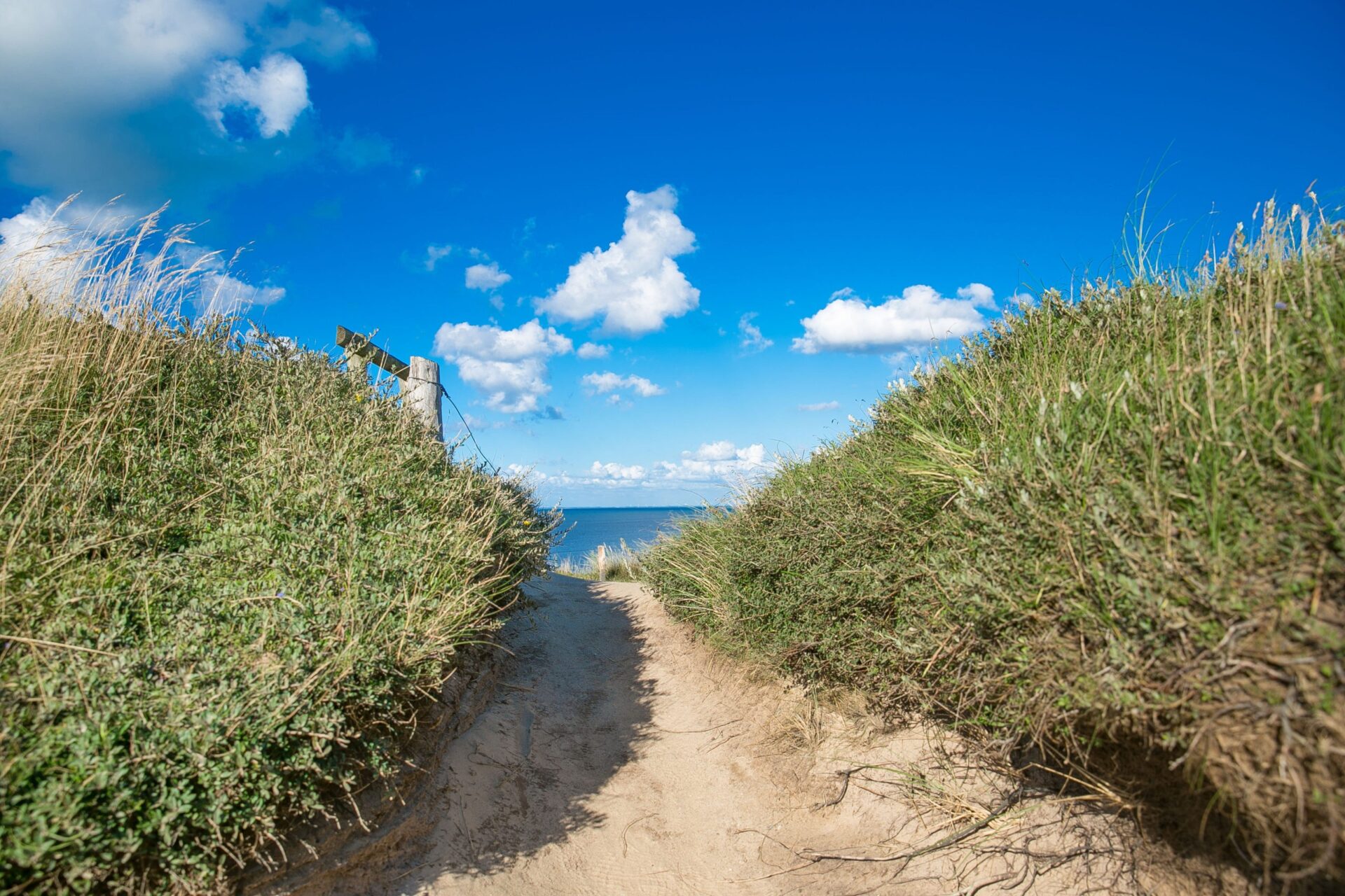 Düne und das Meer