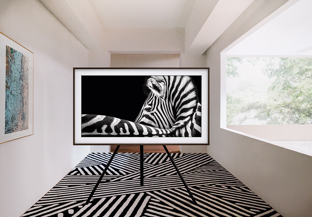 the frame - Zebra