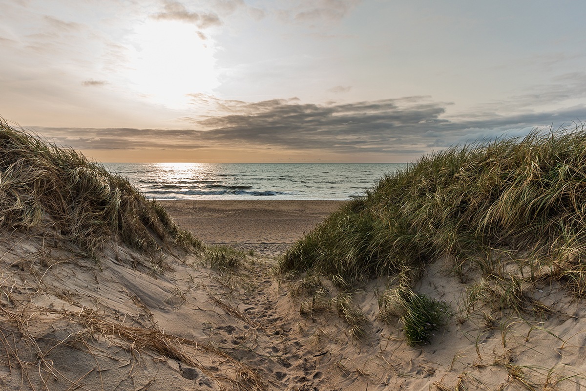 Welchen Strandkorb kaufen