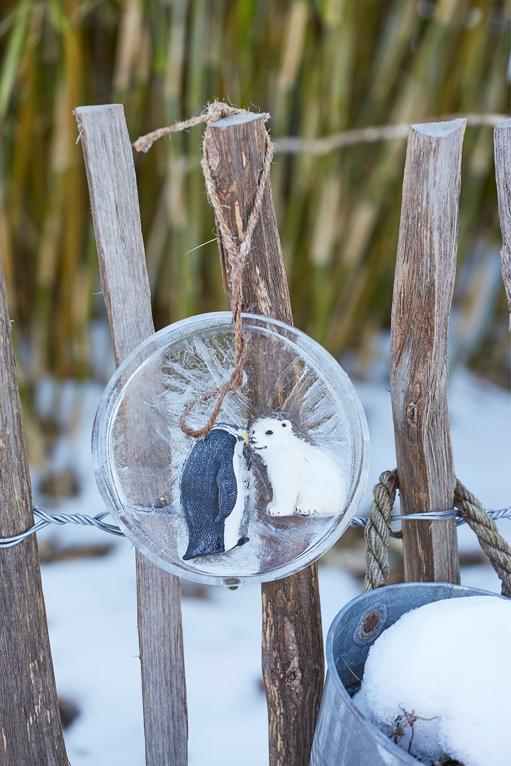 Gefrorenes Eis mit Schleichtieren