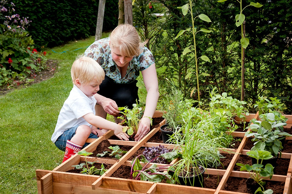 Tipps für ein Hochbeet