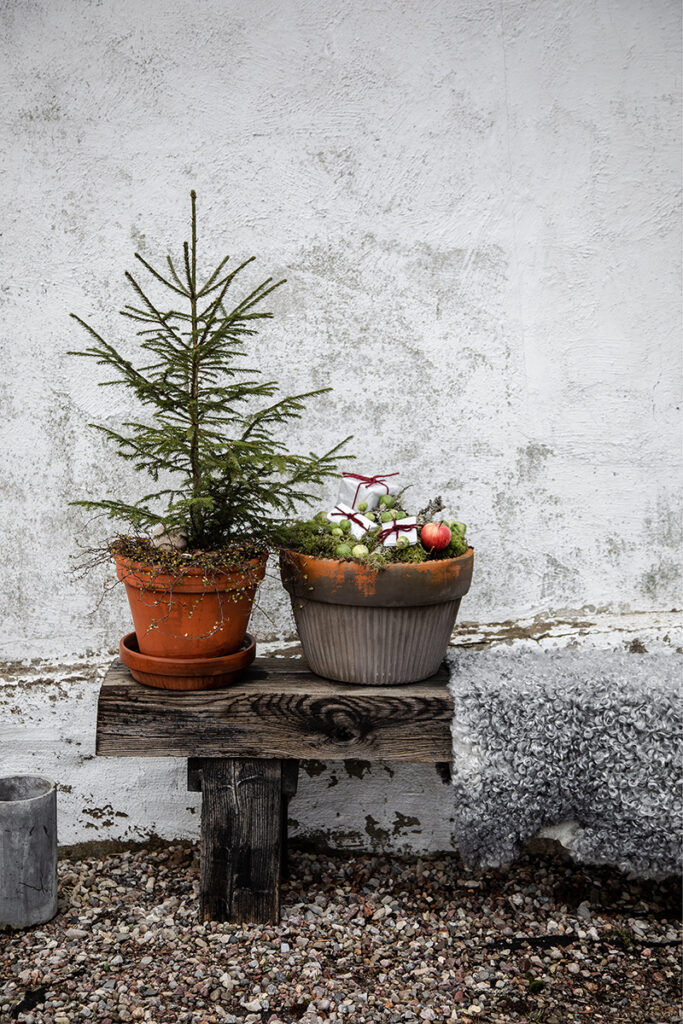 Weihnachten im Garten