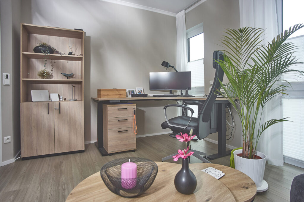 Haus mit Pultdach Home-Office